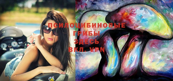 молекула духа Баксан