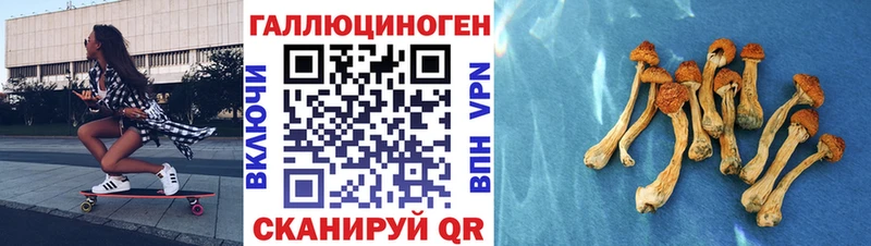 Псилоцибиновые грибы мухоморы  даркнет сайт  Новый Уренгой 